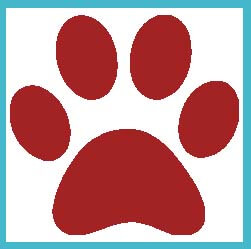 river-dog-inn-red-dog-paws-big-w-blue-box